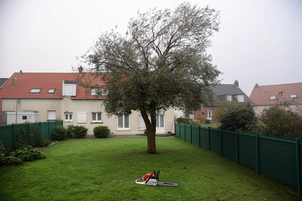 Jardin dégagé après sécurisation d'un arbre
