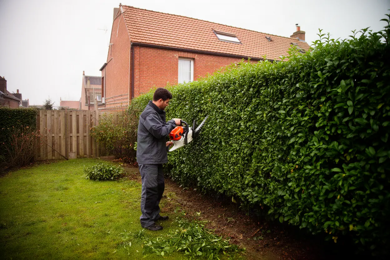 Taille d'une haie de jardin à Dunkerque
